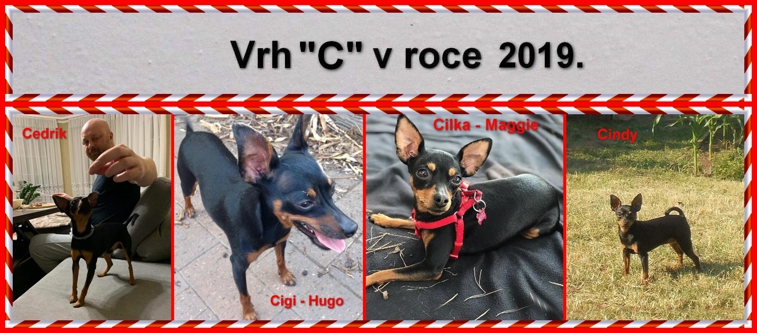 2019-00)....vrh C v rocem 2019