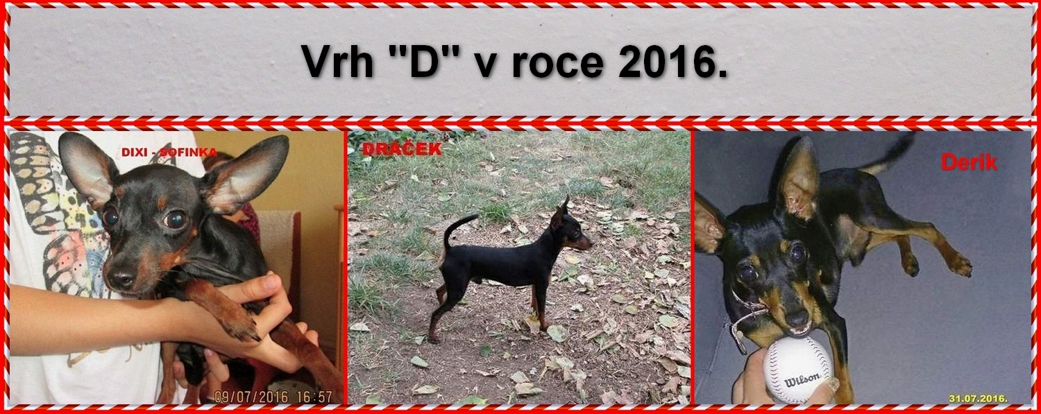 2016-61...vrh D - v roce 2016