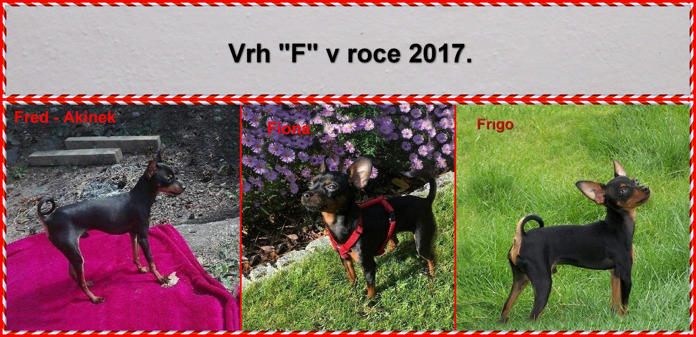 2017-50)...vrh F v roce 2017.