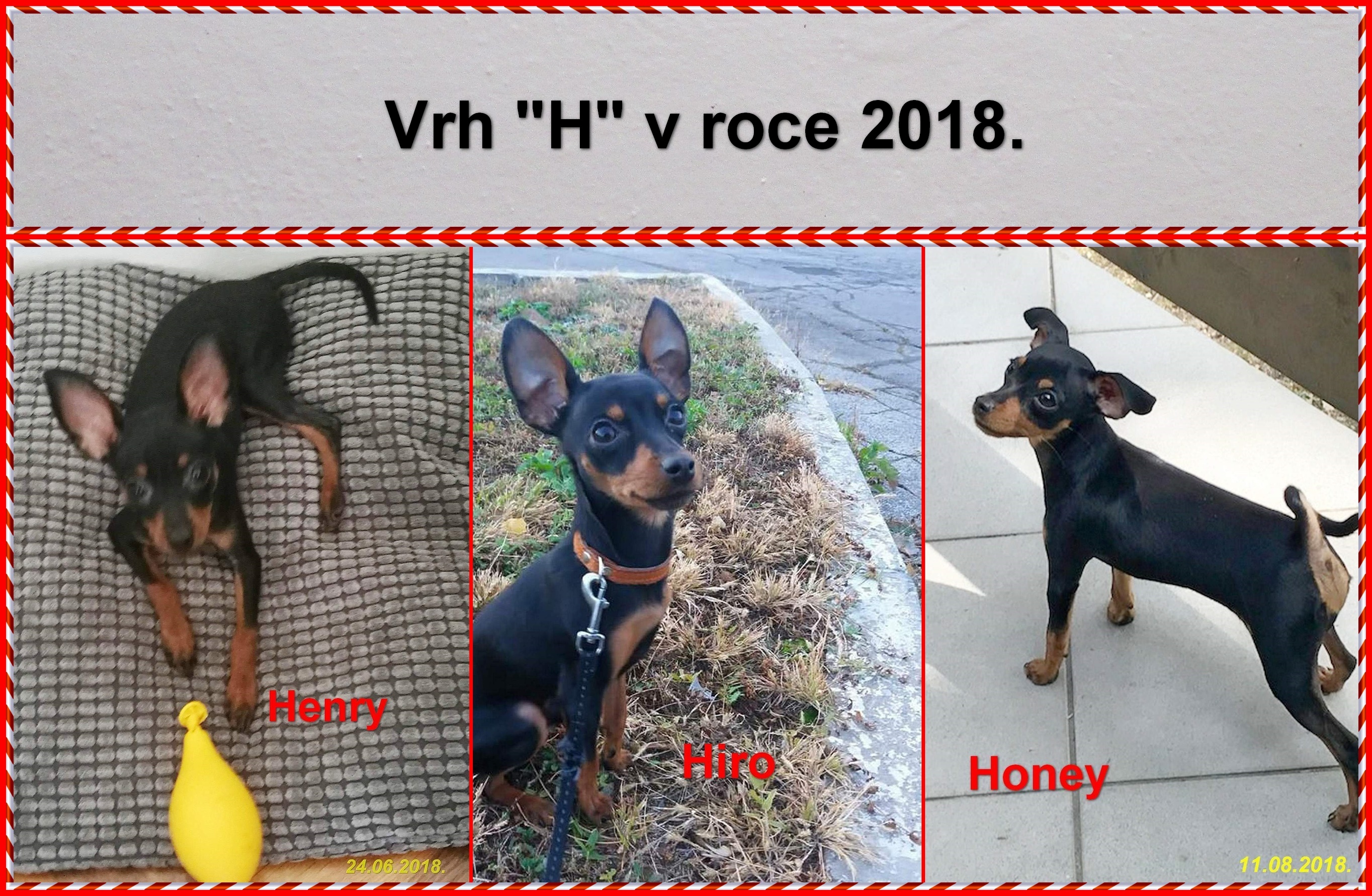 2018-12).........vrh H v roce 2018