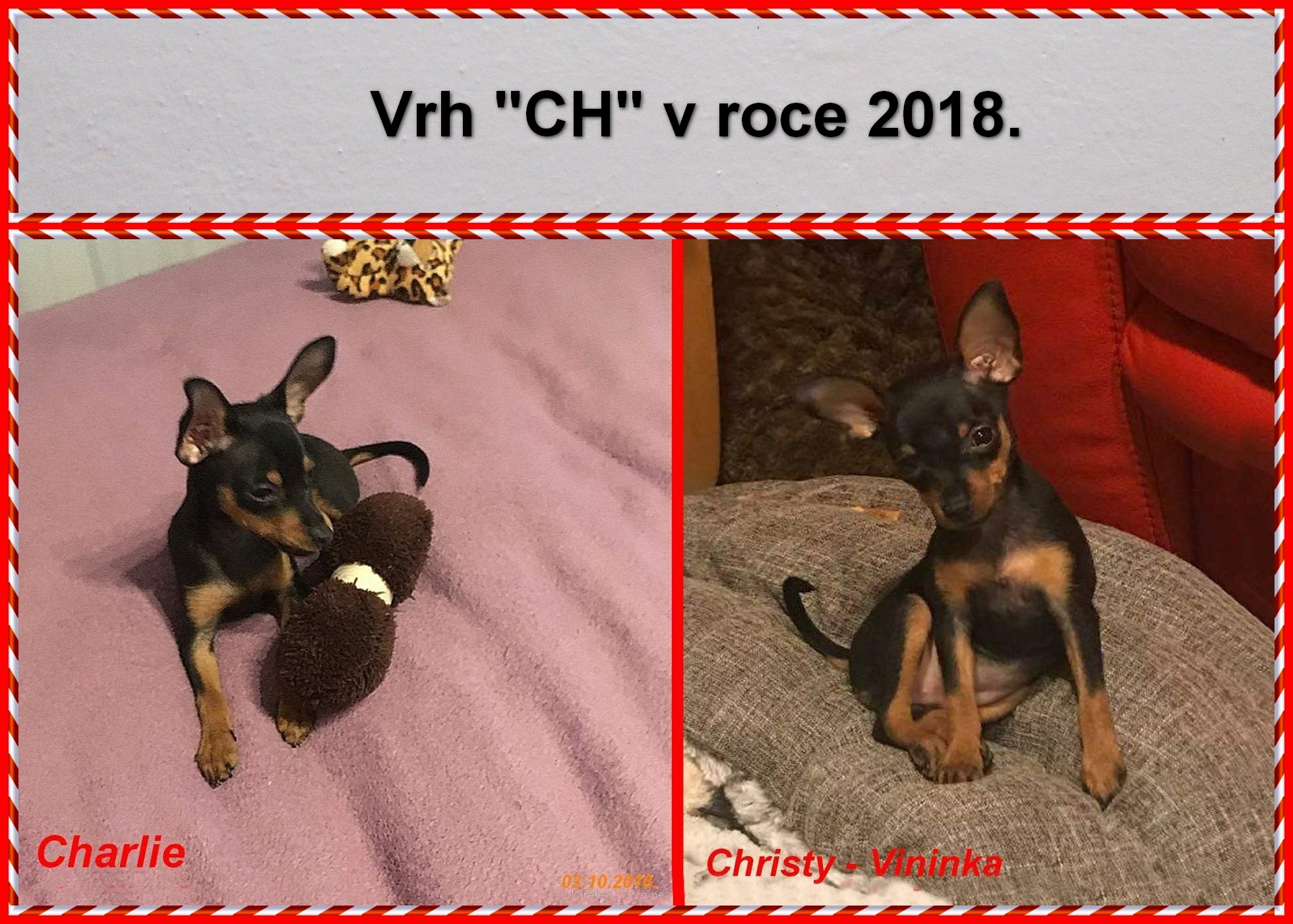 2018-60)...vrh CH v roce 2018