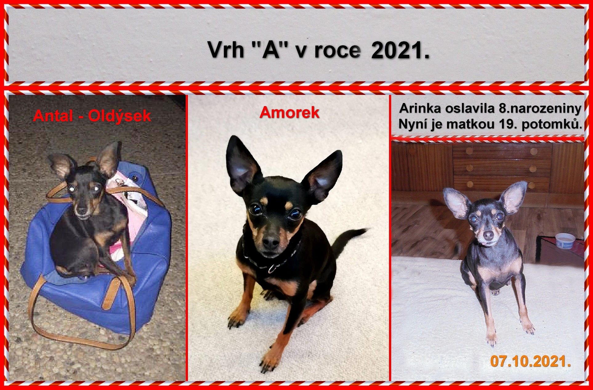 2021-00)..NAHRÁNO..vrh  A v roce 2021.