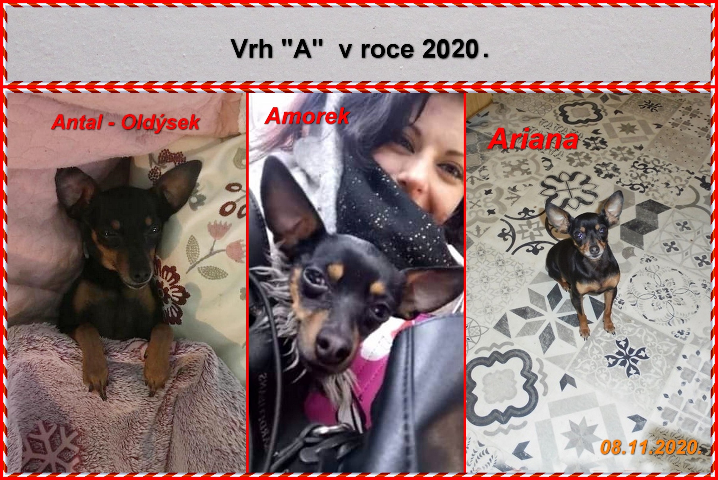 2020-00).......vrh   A v roce 2020