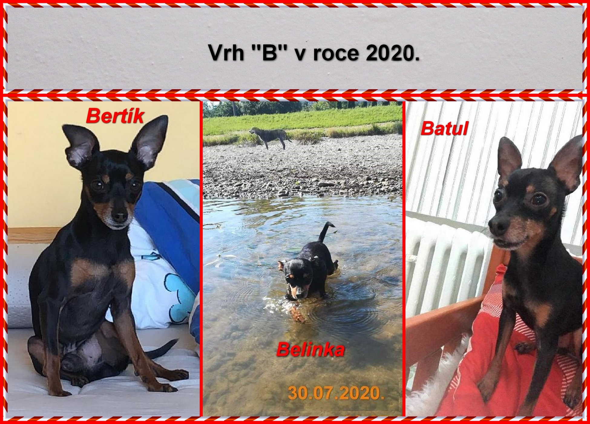 2020-00)....vrh  B v roce 2020.