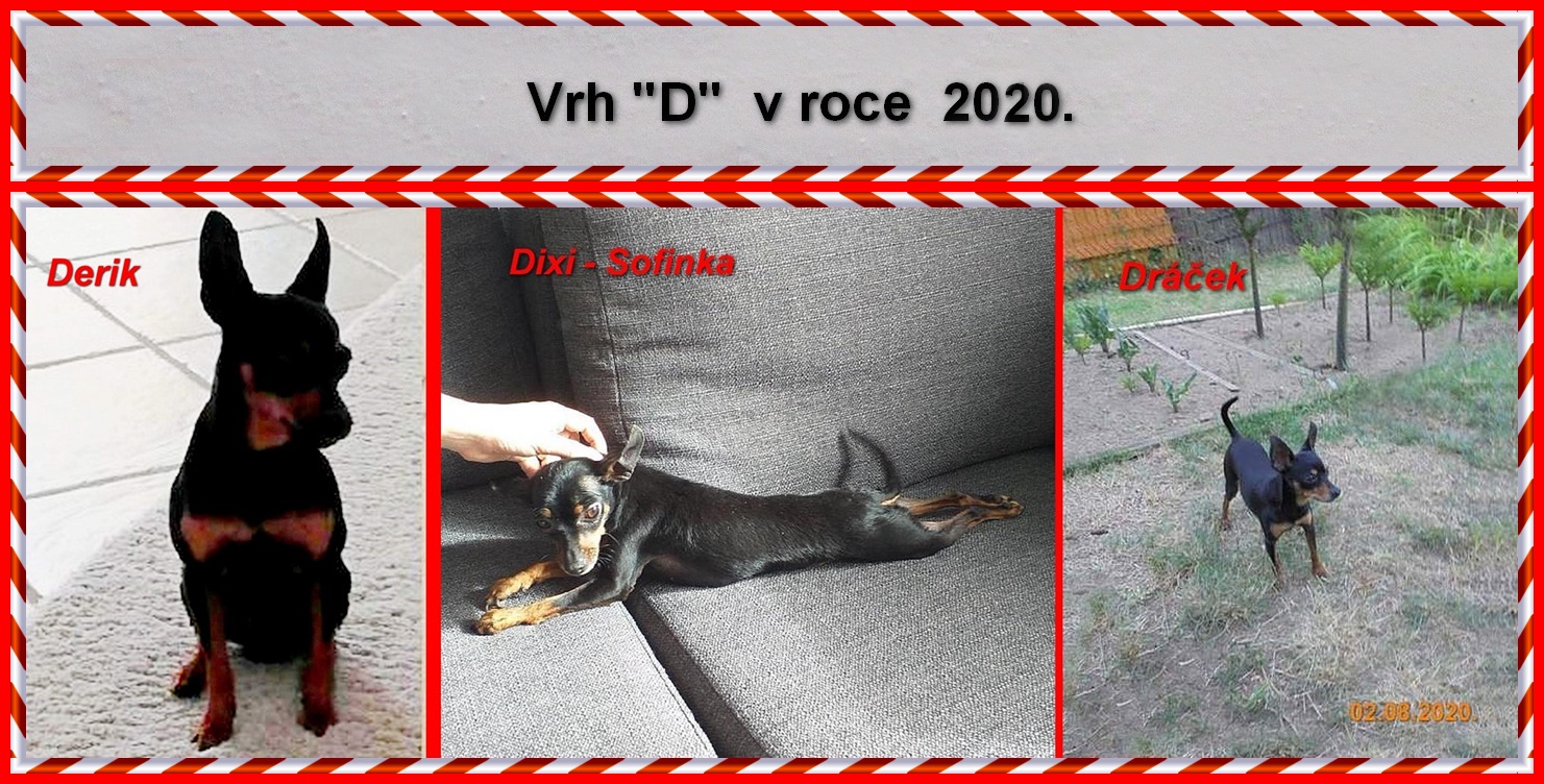 2020-00).....vrh D v roce 2020.