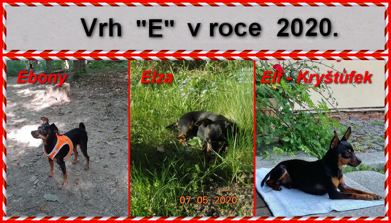 2020-00).....vrh E v roce 2020.