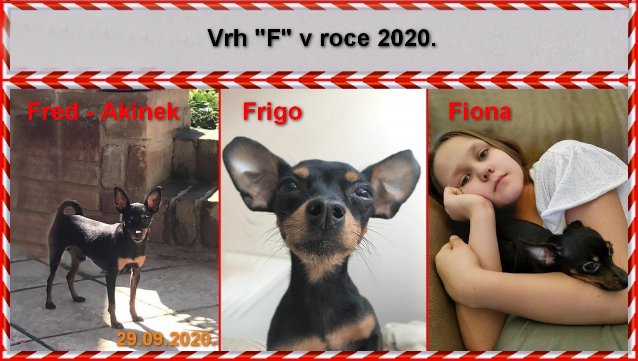 2020-00).......vrh F v rocem 2020..