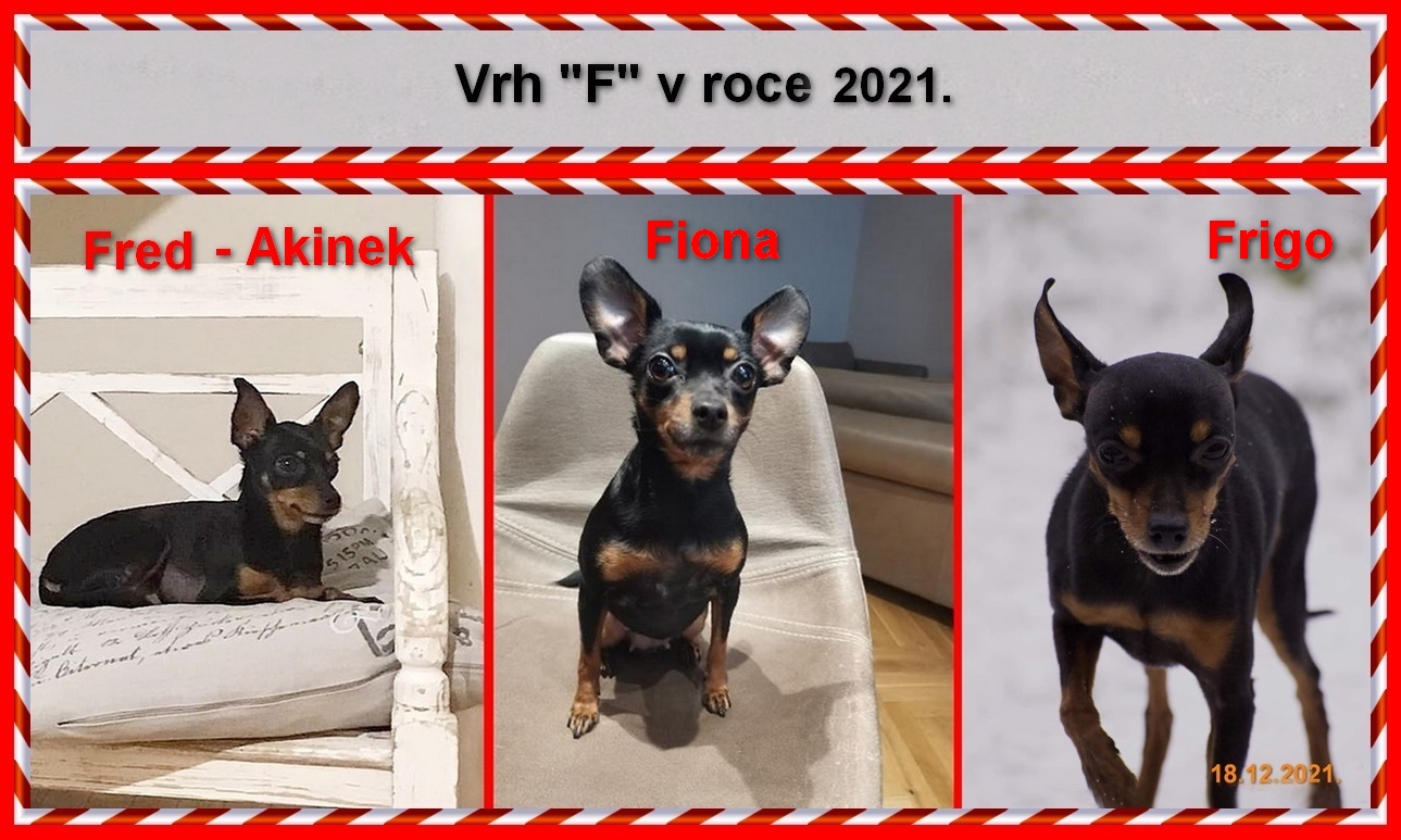 2021-00).....NAHRÁNO...vrh F v rocem 2021.