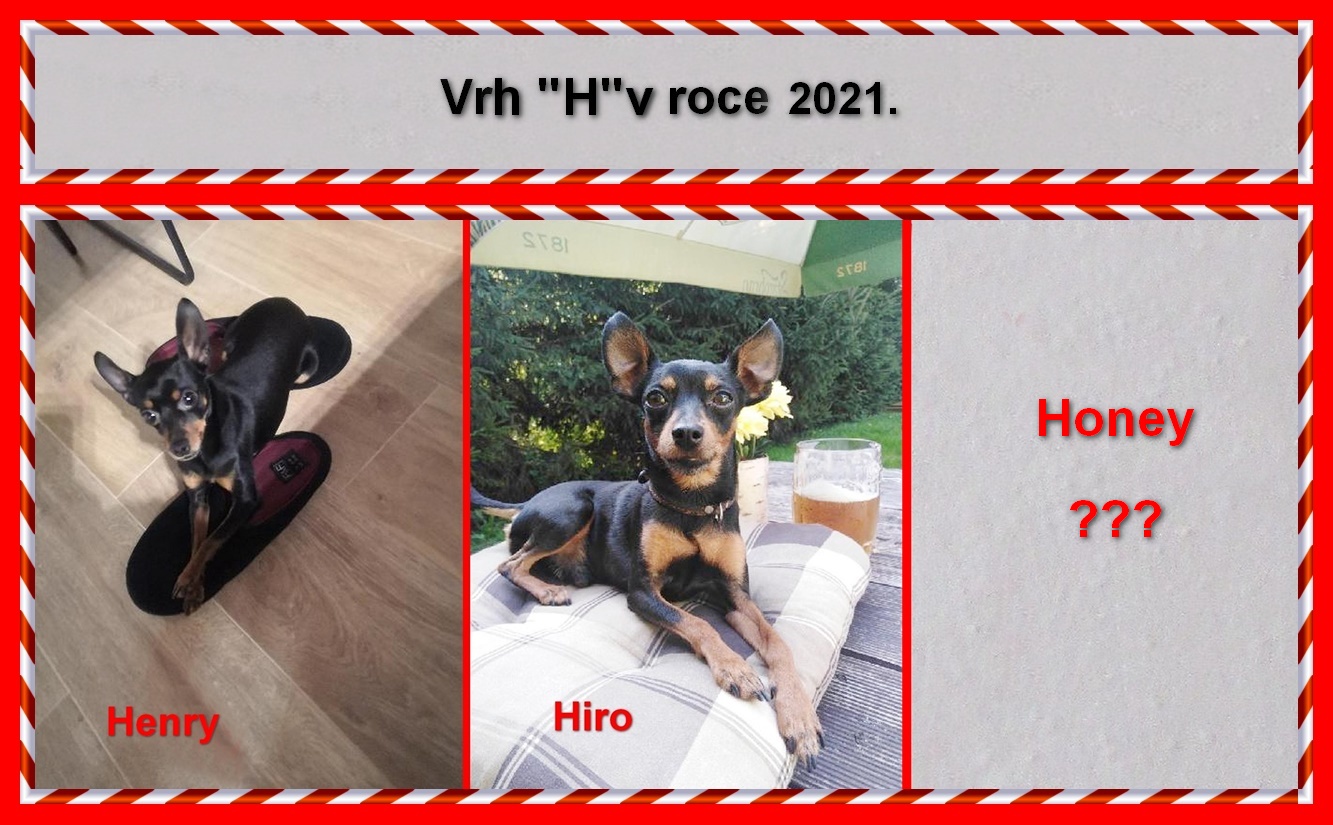 2021-00)..NAHRÁNO....vrh H v roce 2021.   .Honey