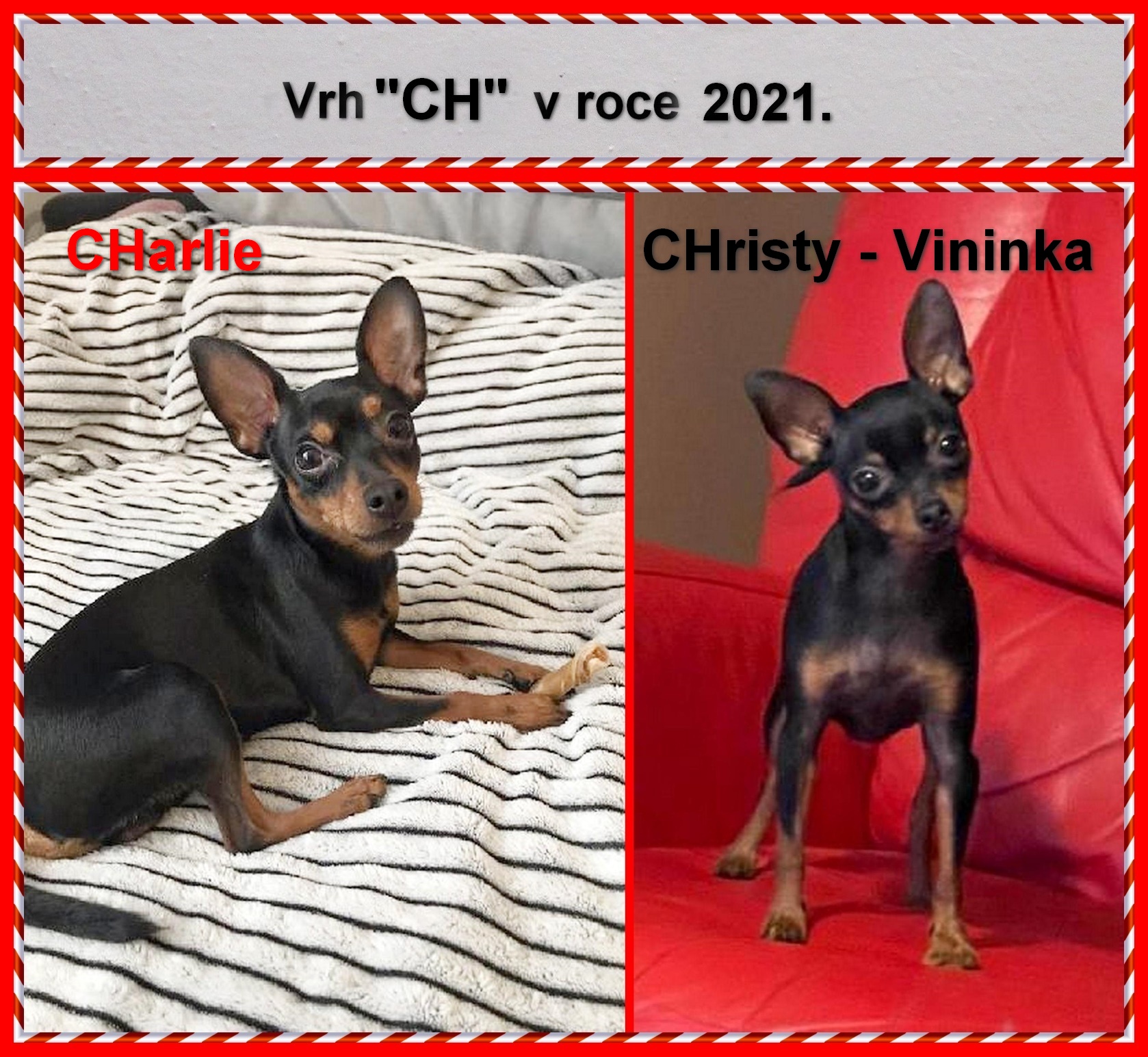 2021-00)..NAHRÁNO...vrh CH v  roce. 2021.