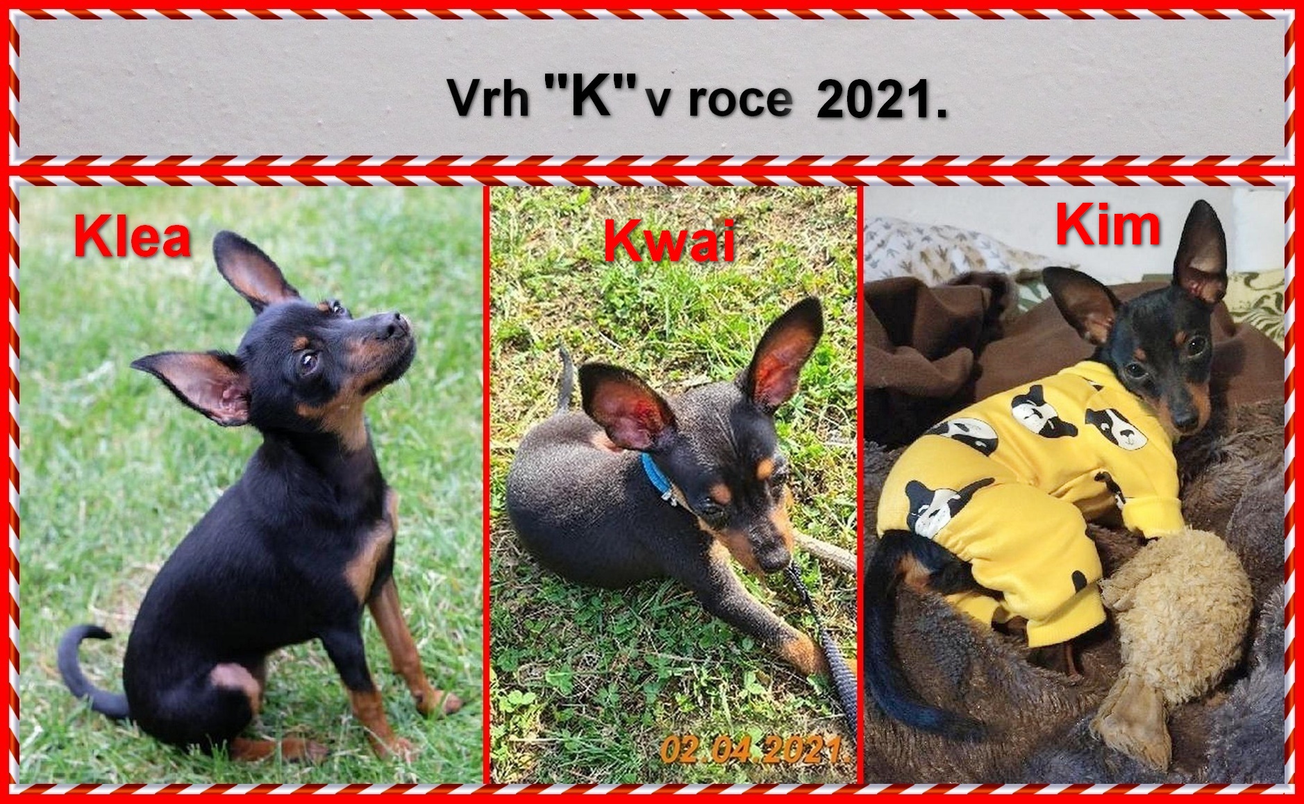 2021-11)........nahráno