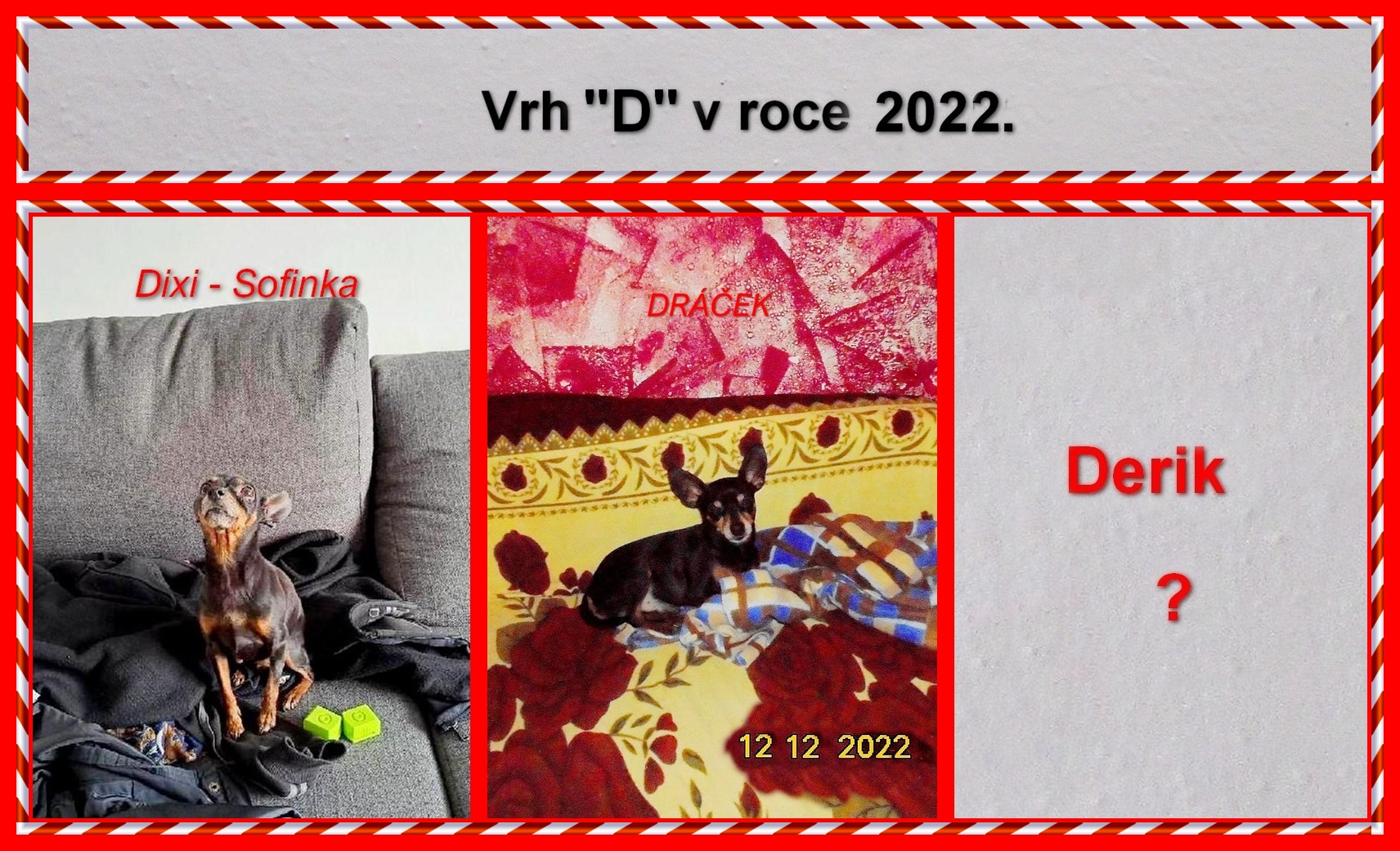 2022-00)...NAHRÁNO  .vrh D v roce 2022.