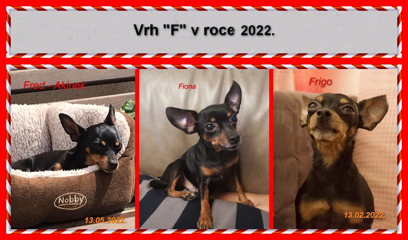 2022-00)....NAHRÁNO....vrh F v rocem 2022..