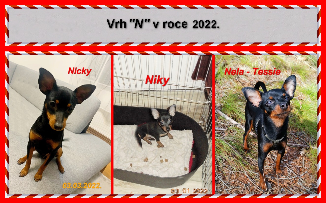 2022-00)........vrh N v rocem 2022.